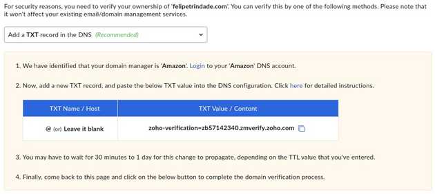 A screenshot of the DNS configuration page of Zoho.